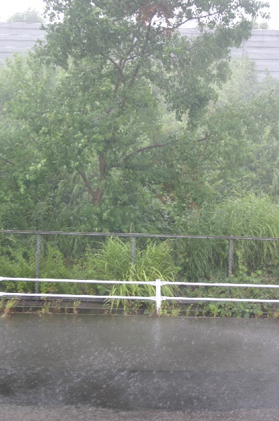 台風１２号接近